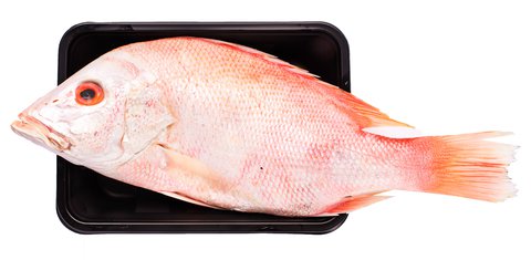 Fishta Seafood Maya Maya 850 g