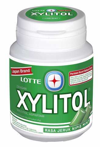 Lotte Xylitol Lime Mint 60 g