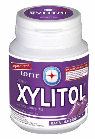 Lotte Xylitol Blueberry Mint 60 g