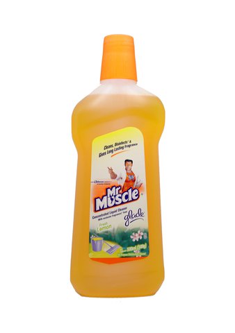 Mr Muscle All Purpose Disinfectant Cleaner - Fresh Lemon 500 ml