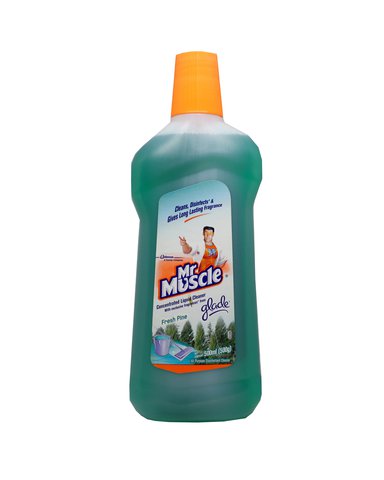 Mr Muscle All Purpose Disinfectant Cleaner - Fresh Pine 500 ml