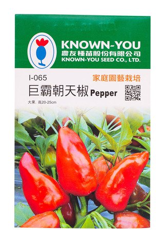 Supersavers Rectangle Medium Compostable Tray 5 pcs /pack