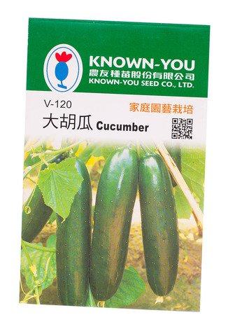 Known-You Cucumber Large - V120 1 pack
