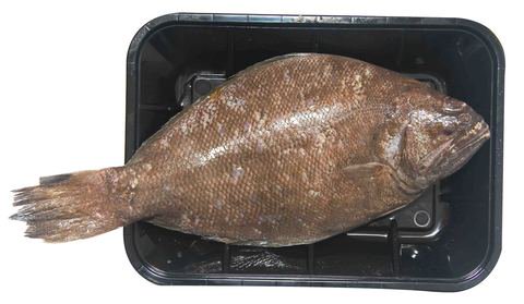 Fishta Dapa 400 g