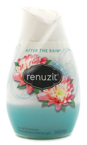 Renuzit After The Rain Odor Neutralizer 198 g