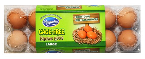 Magnolia Brown Egg Large 12 pcs /pack