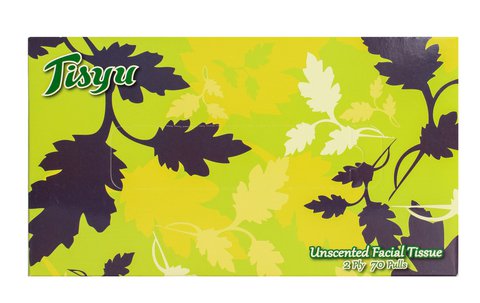Femme Tisyu Unscented Facial Tissue 2 Ply 70 pulls /pack
