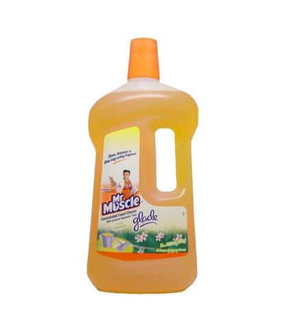 Mr Muscle All Purpose Disinfectant Cleaner - Fresh Lemon 1 l