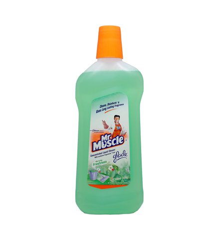 Mr Muscle All Purpose Disinfectant Cleaner - Morning Freshness 500 ml