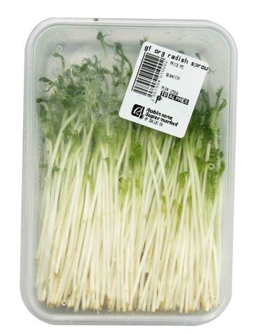 Global Fresh Organic Radish Sprout 1 pack