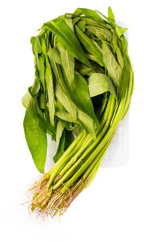 Global Fresh Organic Kangkong Chinese 1 pc