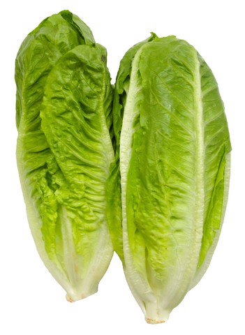 Live Green Romaine Lettuce 270 g