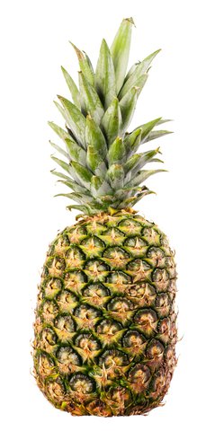 Sunny Phil Pineapple Honeygold 5 1 pc