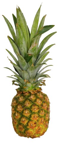 Sunny Phil Pineapple Honeygold 8 1 pc