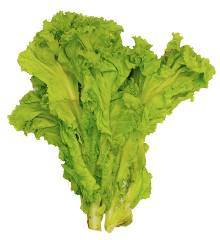 Healthy You Lettuce Green Ice 170 g