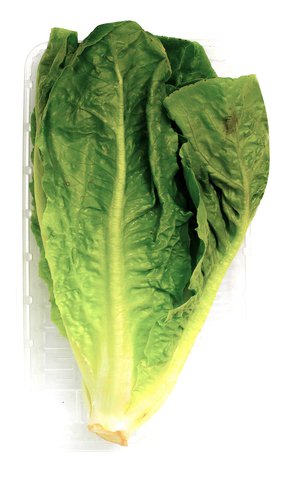 Healthy You Lettuce Romaine 120 g
