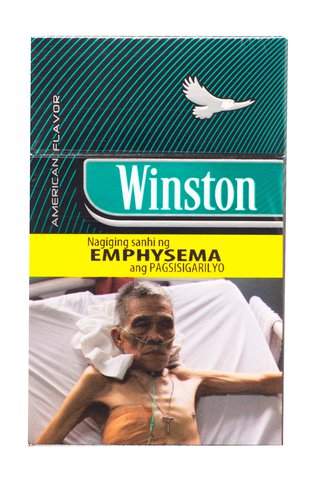 Winston Cigarette Extreme Mint FTB 20 pcs /pack