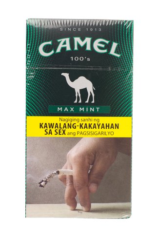Camel Max Mint Cigarette 20 pcs /pack