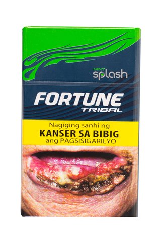 Fortune Tribal Mint Splash 20 pcs /pack