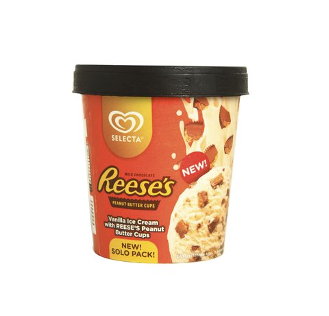 Selecta Hersheys Reeses Ice Cream 475 ml